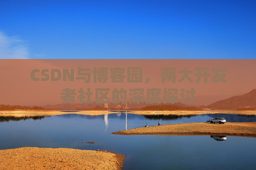 CSDN与博客园，两大开发者社区的深度探讨